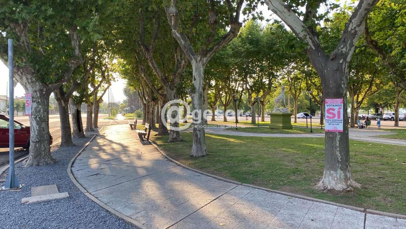 Image6